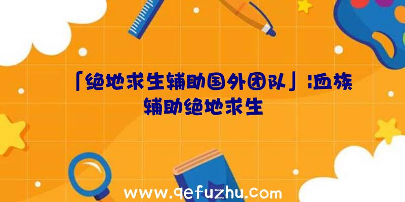 「绝地求生辅助国外团队」|血族辅助绝地求生